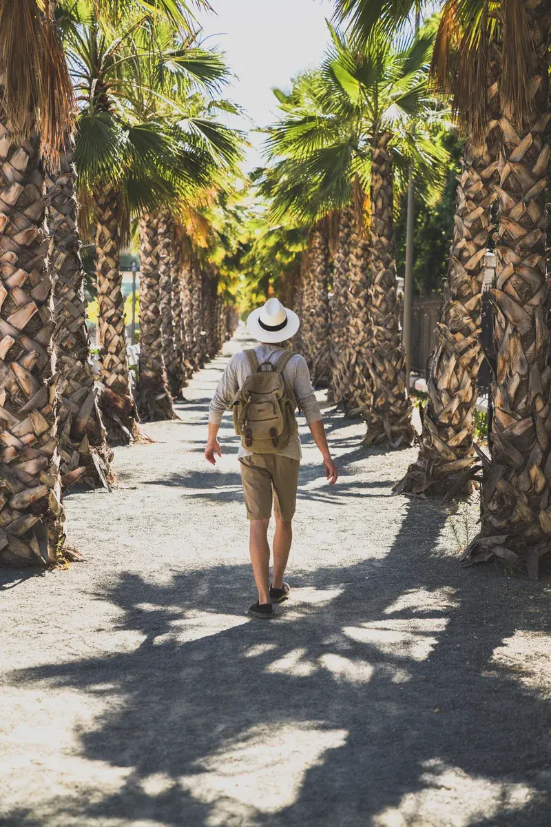Man walking among palm trees in Baja California Sur